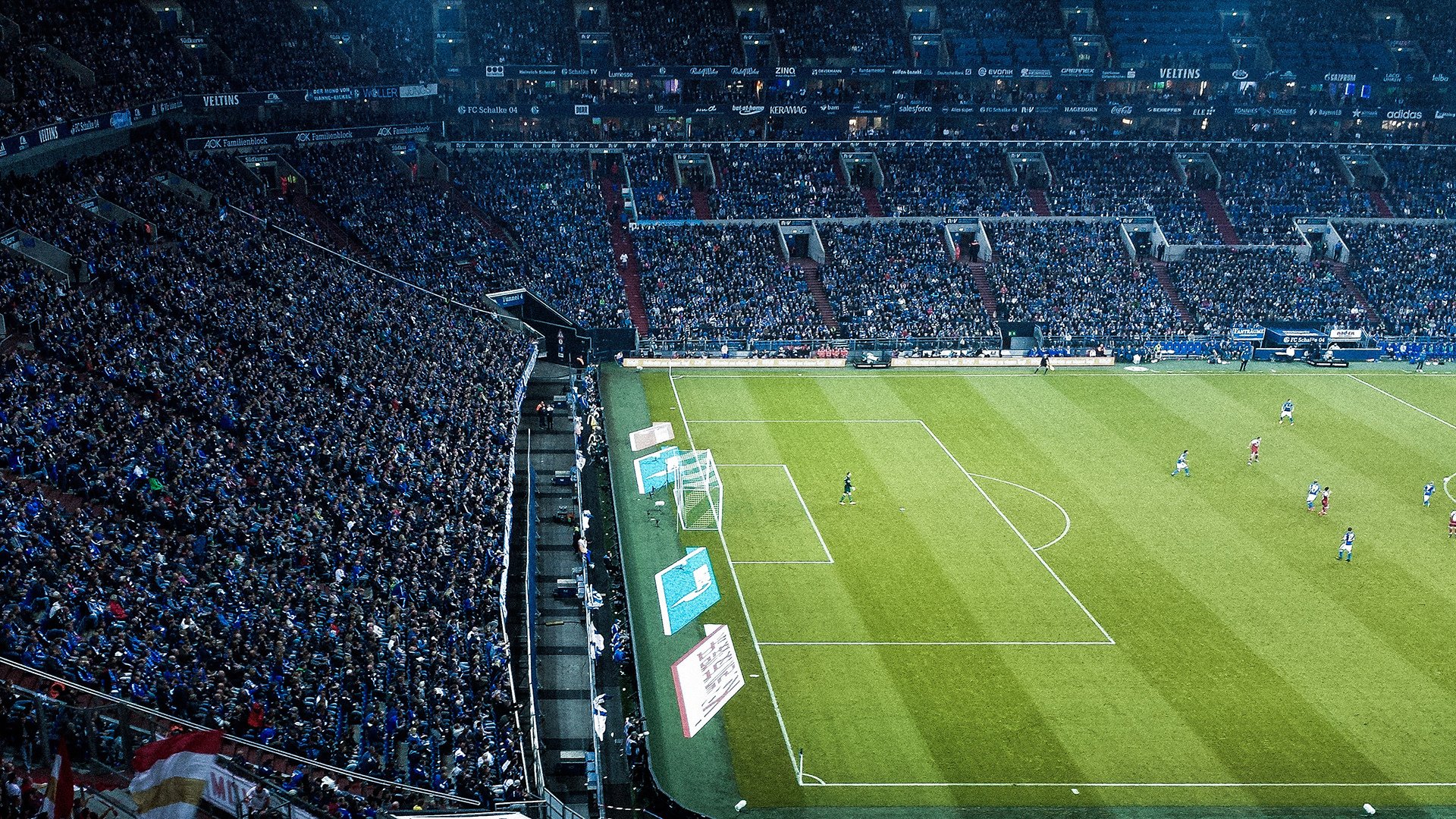 本土新秀首秀惊艳，媒体封其为明日之星，明日之星创始人